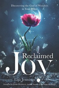 bokomslag Reclaimed Joy