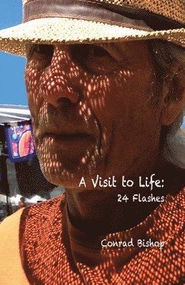 Conrad Bishop - Visit to Life, Häftad