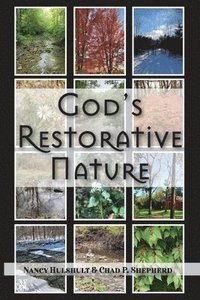 bokomslag God's Restorative Nature