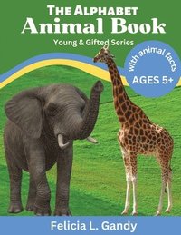 bokomslag The Alphabet Animal Book