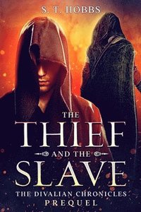bokomslag The Thief and the Slave