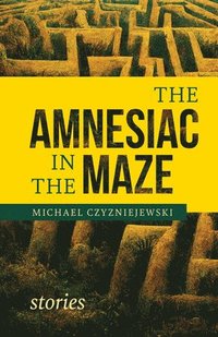 bokomslag The Amnesiac in the Maze