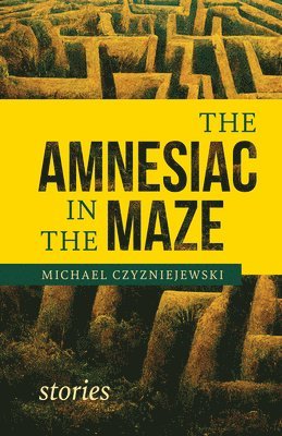 The Amnesiac in the Maze 1