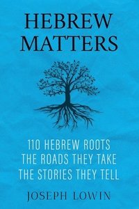bokomslag Hebrew Matters