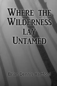 bokomslag Where the Wilderness Lay Untamed