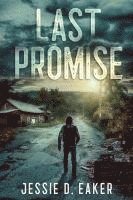 bokomslag Last Promise