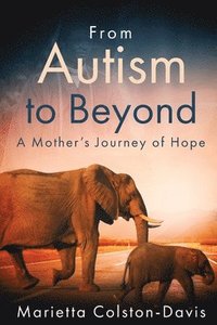 bokomslag From Autism to Beyond