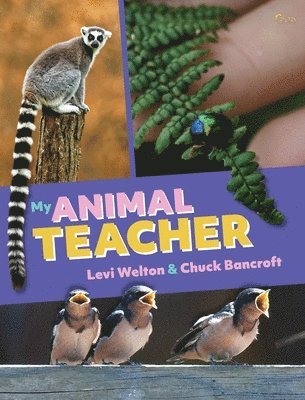 My Animal Teacher 1