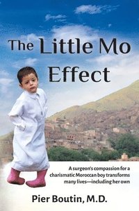 bokomslag The Little Mo Effect