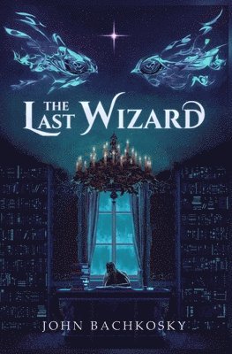 bokomslag Last Wizard