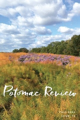 bokomslag Potomac Review: Issue 75