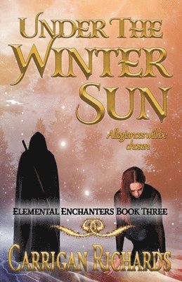 Carrigan Richards - Under the Winter Sun, Häftad