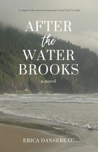 bokomslag After the Water Brooks