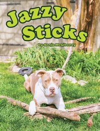 bokomslag Jazzy Sticks