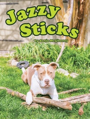 Sonja McGiboney - Jazzy Sticks, Inbunden
