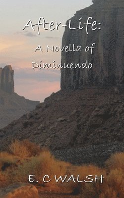 E C Walsh, E. C. Walsh, E.C. Walsh - After-life, Häftad