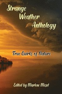 bokomslag Strange Weather Anthology