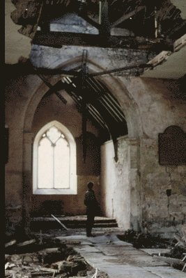 Carey, Morales - Repairing The Apostolic Church, Häftad