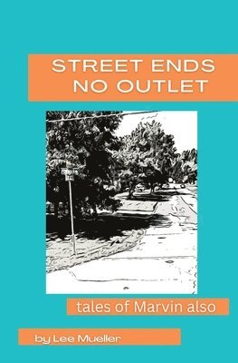 Street Ends No Outlet 1