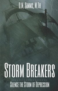 bokomslag Storm Breakers