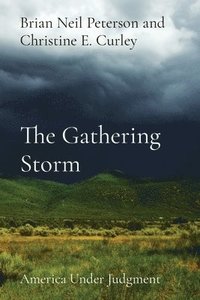 bokomslag Gathering Storm