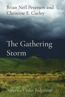 bokomslag Gathering Storm