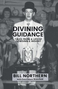 bokomslag Divining Guidance