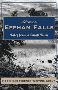 bokomslag Welcome to Effham Falls