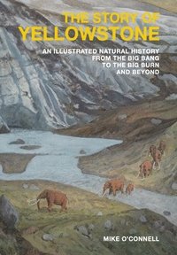 bokomslag Story of Yellowstone