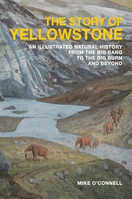 bokomslag The Story of Yellowstone