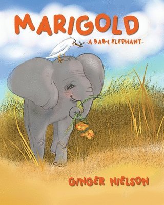 Marigold A Baby Elephant 1