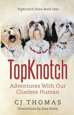 TopKnotch 1