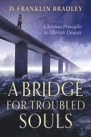 bokomslag Bridge for Troubled Souls