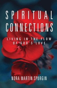 bokomslag Spiritual Connections
