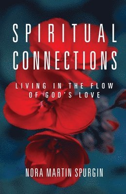 bokomslag Spiritual Connections