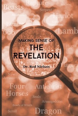 Making Sense of the Revelation 1