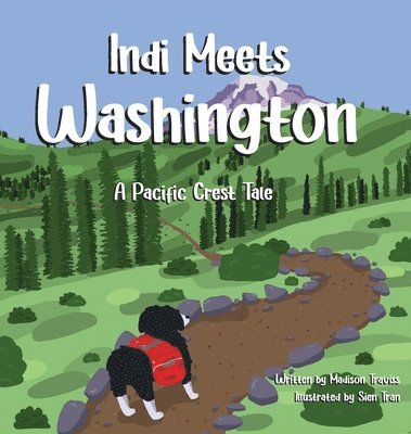 Madison Traviss - Indi Meets Washington, Inbunden