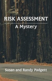 bokomslag Risk Assessment