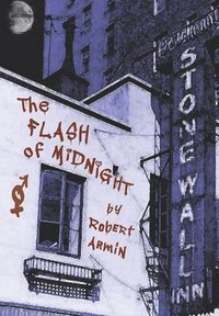 bokomslag Flash of Midnight