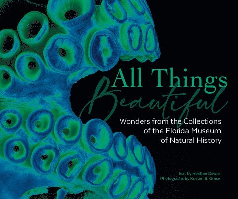 All Things Beautiful 1