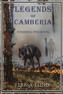 bokomslag Legends of Camberia: Finding Phoenix