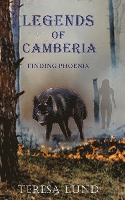 bokomslag Legends of Camberia: Finding Phoenix