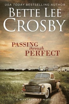 Bette Lee Crosby - Passing Through Perfect, Häftad