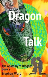 bokomslag Dragon Talk