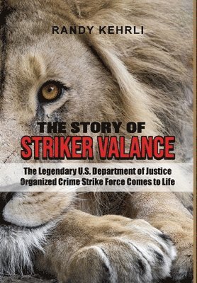 The Story Of Striker Valance 1