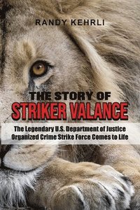 bokomslag The Story Of Striker Valance