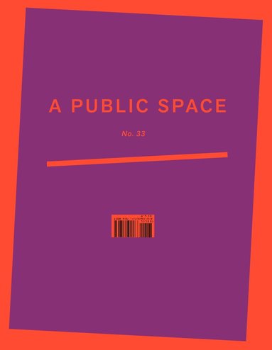 Brigid Hughes - Public Space No. 33, Häftad