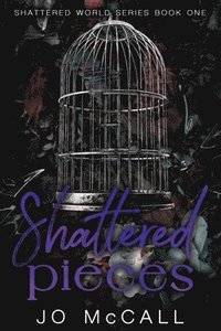 bokomslag Shattered Pieces (Special Edition)