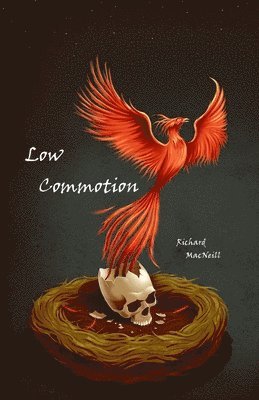 Low Commotion 1