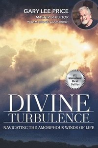 bokomslag Divine Turbulence